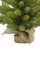 Perfect Holiday 3' Green Tabletop Tree with Burlap Wrapped Base